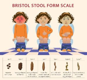 Bristol stool chart