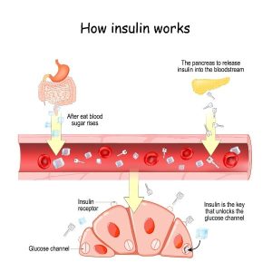 Orthomoleculaire voeding voor een gezonde huid van binnenuit
