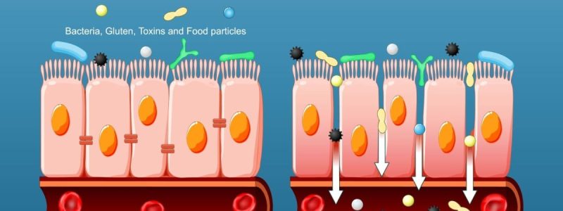 De invloed van een lekkende darm op acne en eczeem