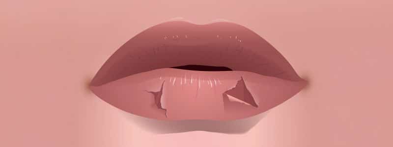 Close-up van droge, schrale lippen